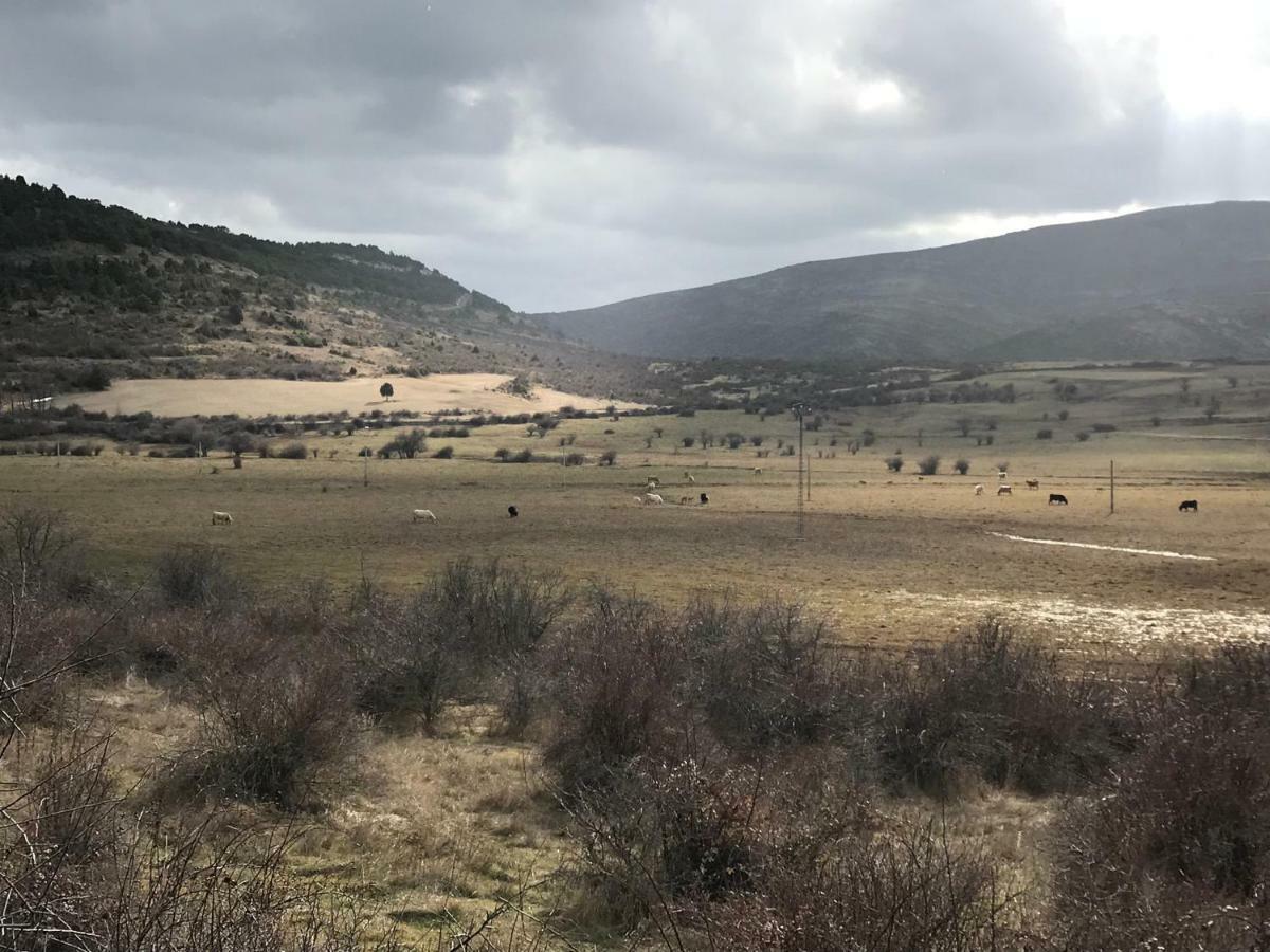 Hotel Rural Grado Del Pico المظهر الخارجي الصورة